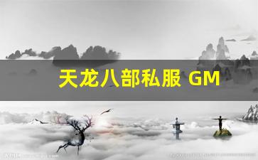 天龙八部私服 GM 后台曝光：如何 1 分钟刷满顶级装备？